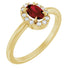14k-yellow-natural-mozambique-garnet-&-1/10-ctw-natural-diamond-french-set-halo-style-ring