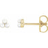 14k-yellow-gold-2-mm
