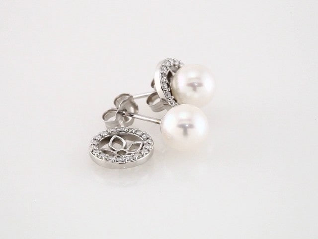14k-white-gold--cultured-white-akoya-pearl-earrings